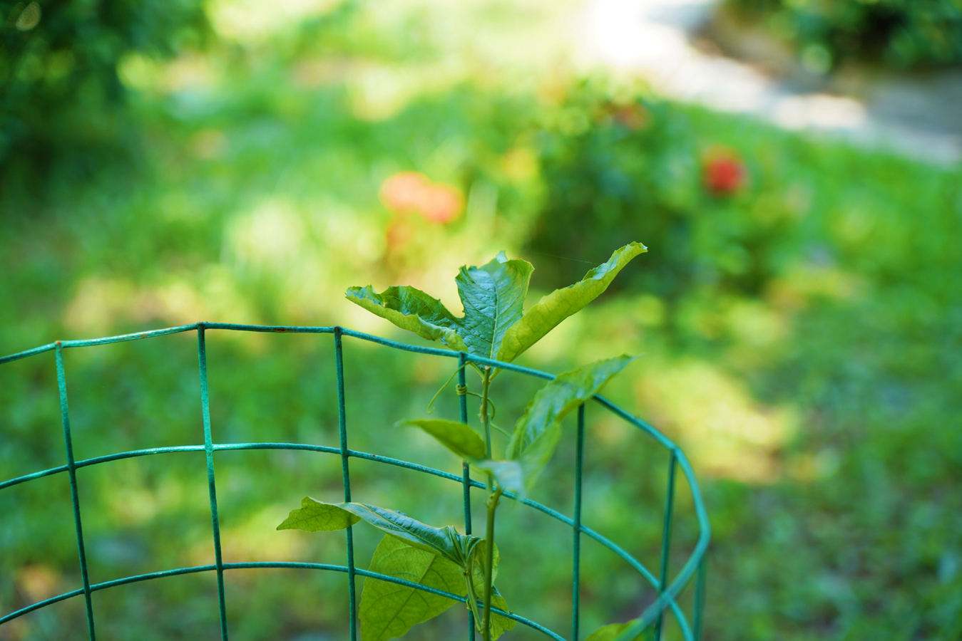 中国·88038威尼斯(股份)有限公司-官方网站