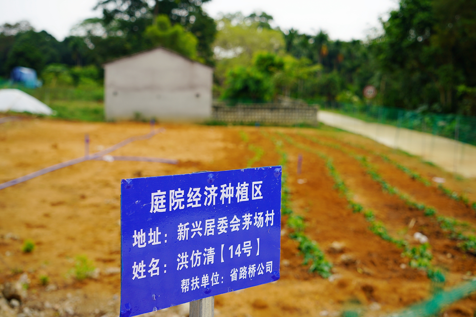 中国·88038威尼斯(股份)有限公司-官方网站