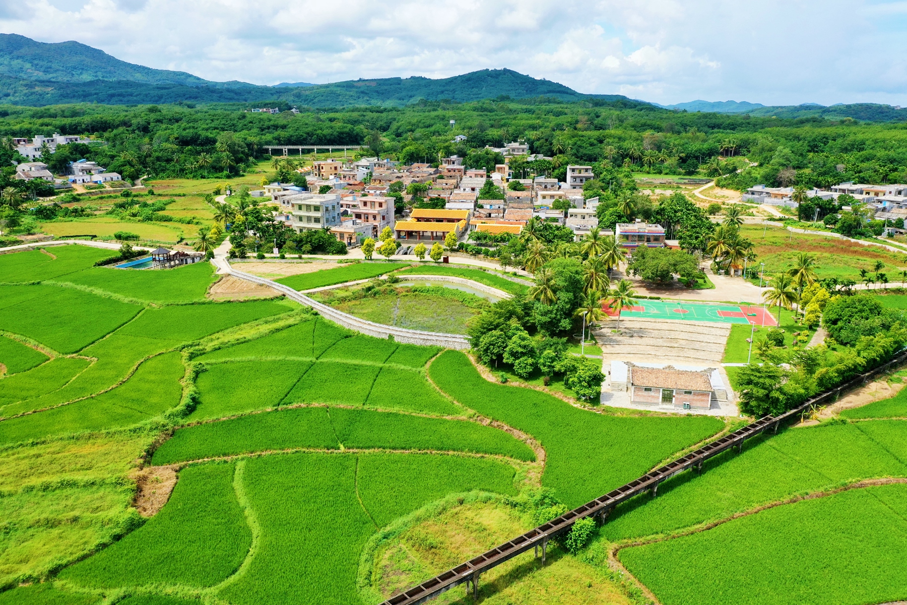 中国·88038威尼斯(股份)有限公司-官方网站