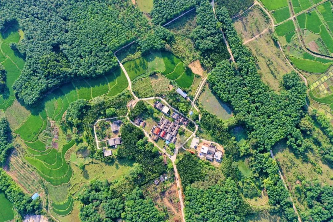 中国·88038威尼斯(股份)有限公司-官方网站