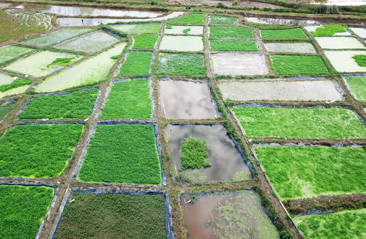 中国·88038威尼斯(股份)有限公司-官方网站